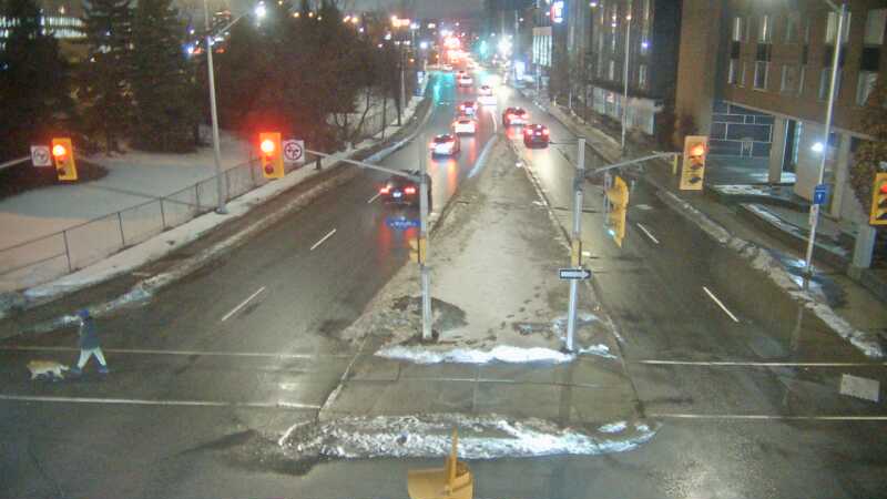 Catherine & Metcalfe