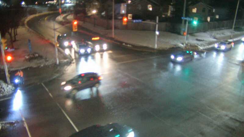 Terry Fox & Castlefrank / Abbott