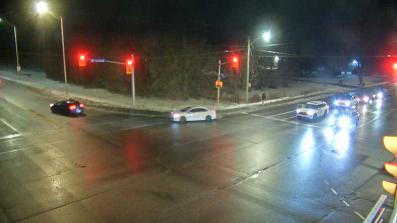 Fernbank & Terry Fox