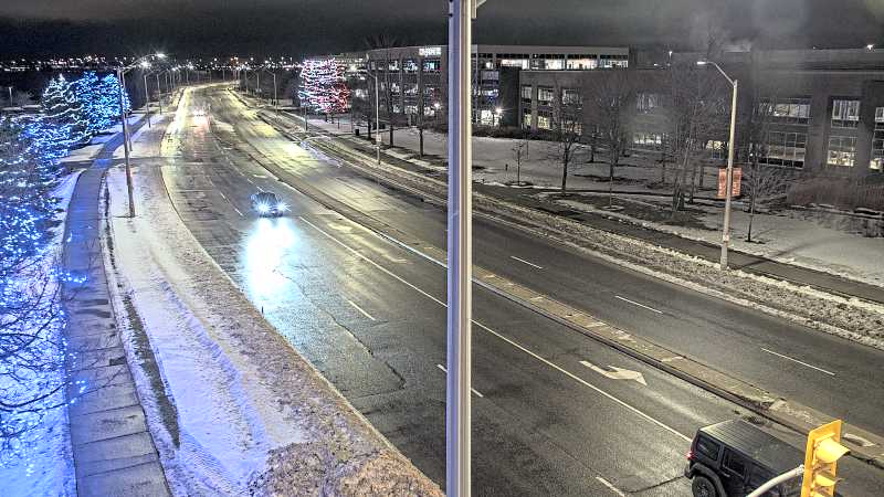 Palladium & Silver Seven