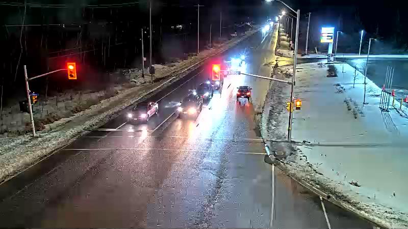 Albion & Mitch Owens