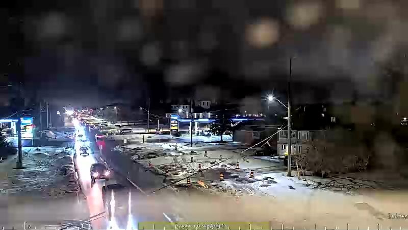 Bank & White Alder / Analdea